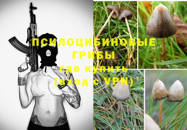 мет Арсеньев