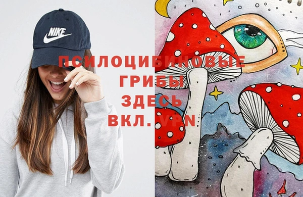 синтетический гашиш Армянск