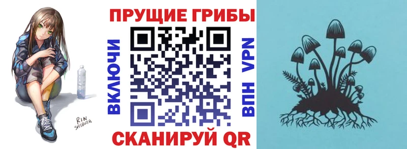 Галлюциногенные грибы ЛСД  продажа наркотиков  Инта 
